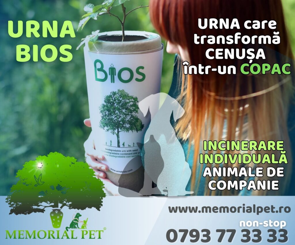 Memorial Pet Constanta - servicii incinerare individuala pentru animalele de companie